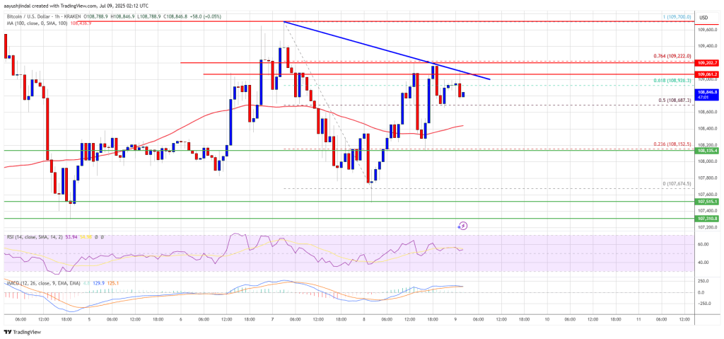 Bitcoin Price Respects Support Zone — Bulls Eye Fresh Rally