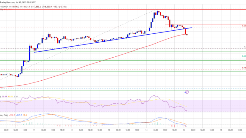 Bitcoin Price Retreats After Hitting ATH — Bulls Pause for Breath