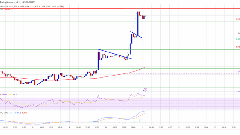 Bitcoin Price Rockets to Record High — Bulls Celebrate Milestone