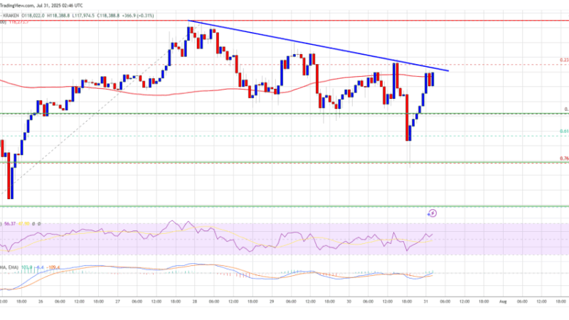 Bitcoin Price Sets Sights on a New Climb – Momentum Building Again