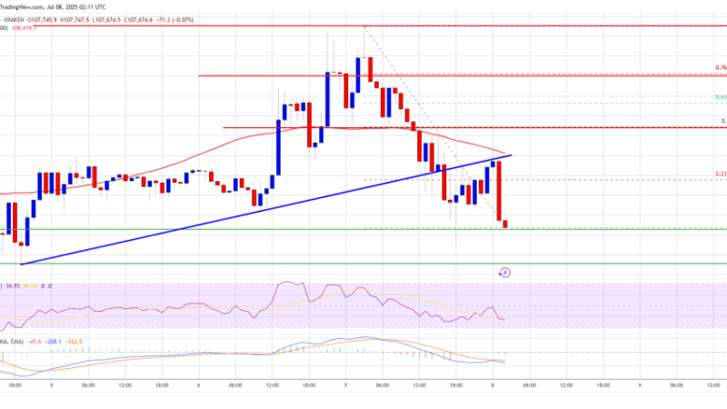 Bitcoin Price Stalls Below $110K — Another Rejection for Bulls