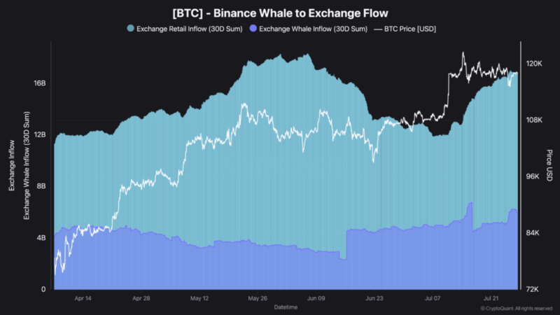Bitcoin Rejected At $120,000: Binance Whale Inflows Suggest Possible Drop To $110,000