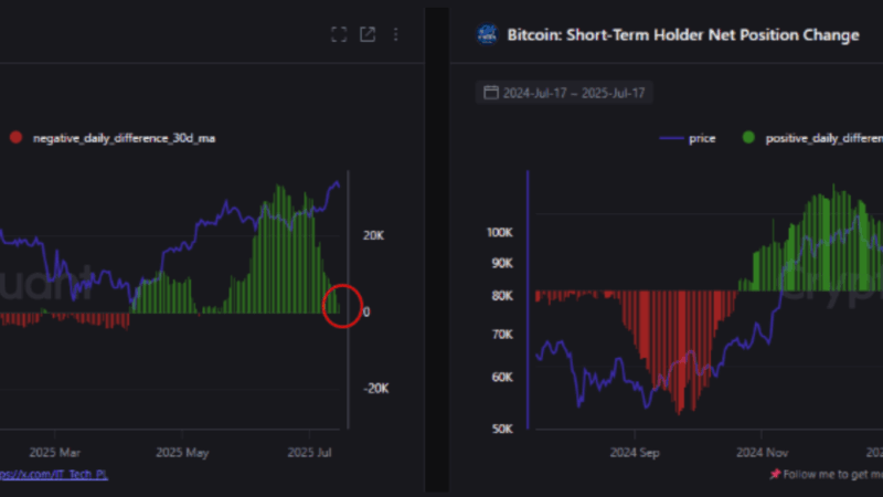 Bitcoin Sees Long-Term Holders Sell As Short-Term Buyers Step In – Sign Of Rally Exhaustion?