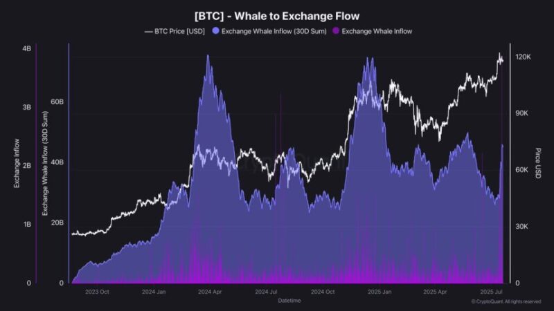 Bitcoin Whale Metrics Flash Mixed Signals: Monthly Inflows Rise And Daily Outflows Start Slowing