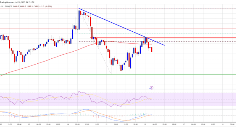 BNB Price Stalls: Struggles to Resume Gains While Altcoins Rally