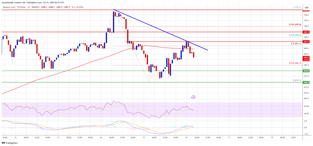 BNB Price Stalls: Struggles to Resume Gains While Altcoins Rally