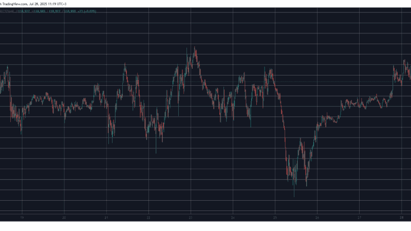 BNB Sets Another All-Time High, BTC Stopped Ahead of $120K: Market Watch