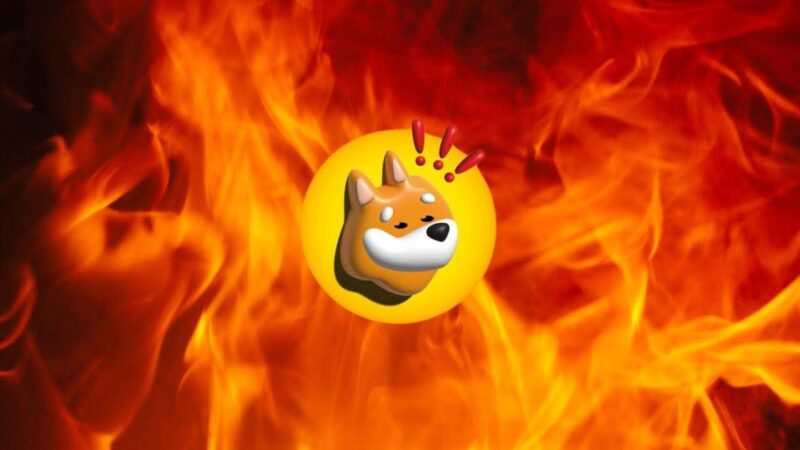 Bonk Eyes 1M Holders, plans to Burn 1 Trillion Tokens in Major Milestone Move