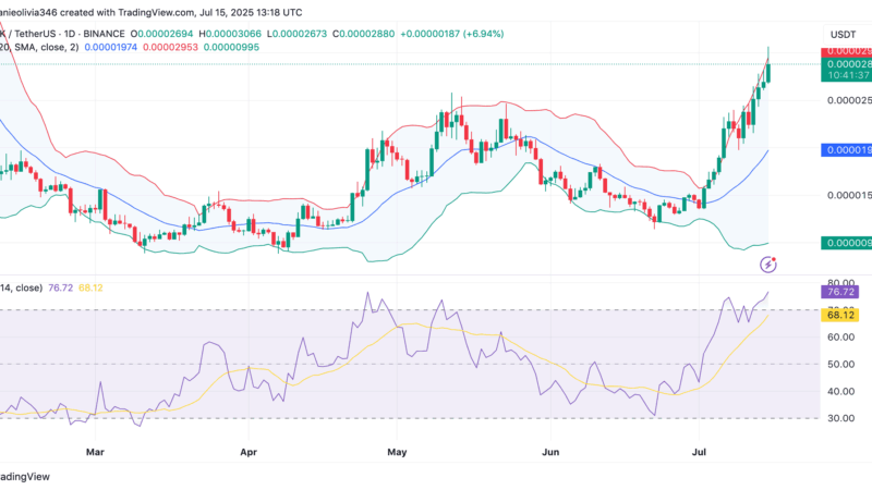 BONK Holds Strong Above Key Level—$0.00003 Next?