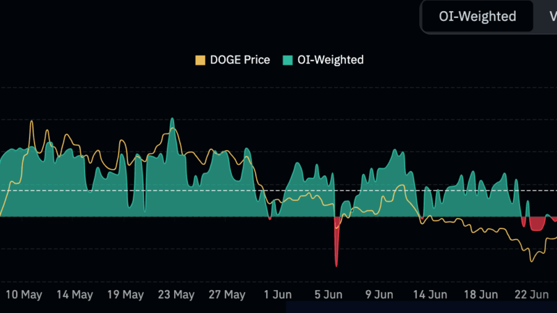 Bullish Signal? DOGE Prints Hammer on Daily Close