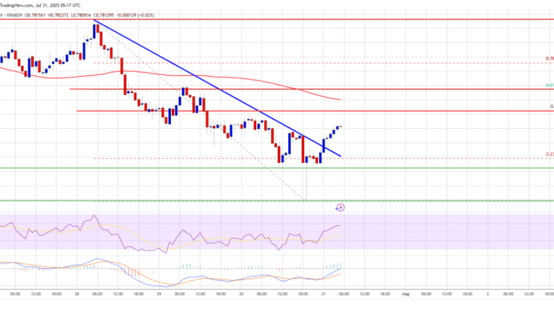 Cardano (ADA) Aims Higher – Bullish Setup Hints at New Leg Up