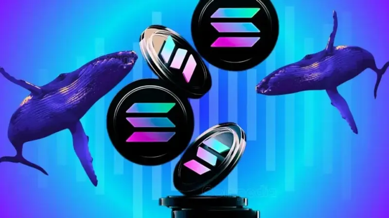 DeFi Dev Corp Acquires Additional 47.2k Solana: What Next for SOL Price?