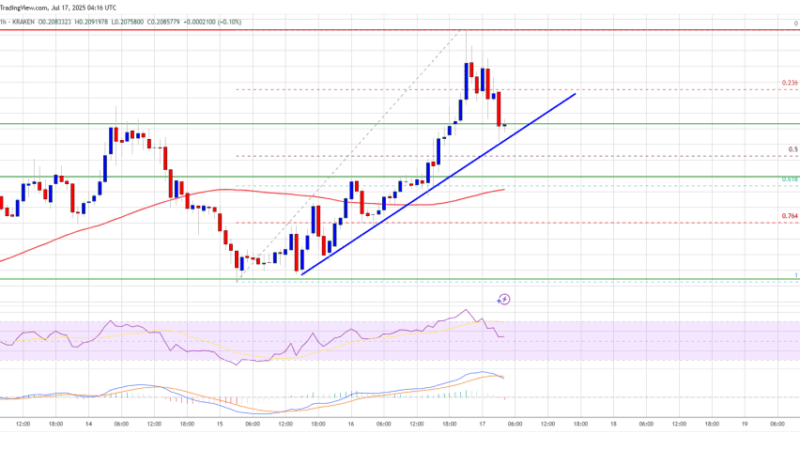 Dogecoin (DOGE) Struggles to Wake Up While Floki Rockets Higher