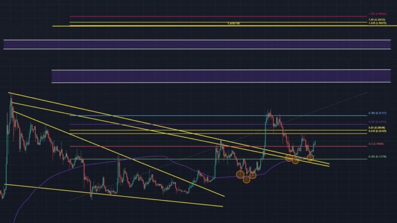 Dogecoin Erupts Past $0.23—Analyst Predicts Next Price Targets