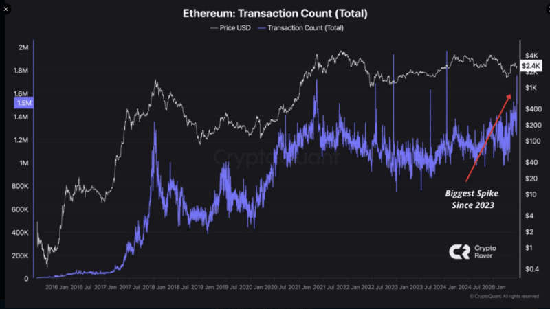 Ethereum Network Awakens—Massive On-Chain Moves Signal What’s Coming