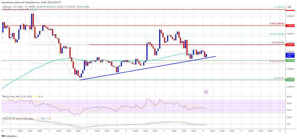 Ethereum Price Hits Support – Can It Launch a Fresh Move Higher?