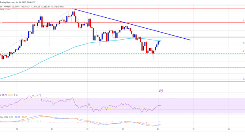 Ethereum Price Slips on Profit-Taking – Limited Downside as Whale Demand Holds