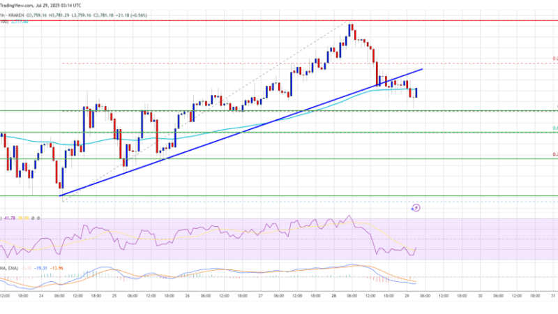 Ethereum Price Stays Strong – Elevated Price Hints at Bullish Continuation