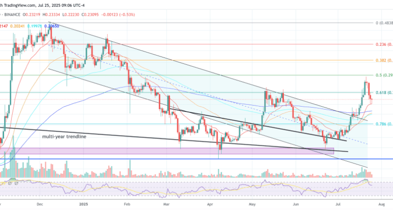 Is $1 Dogecoin ‚Inevitable‘? Analyst Cites Perfect Storm Of Factors