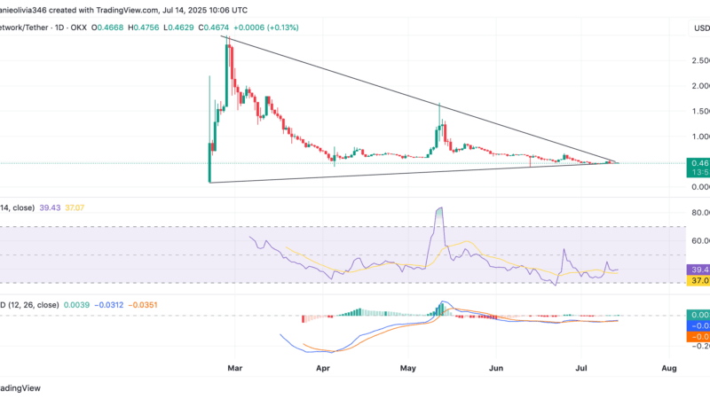 Is PI on the Brink? Pi Network Price Nears Crucial Support Zone