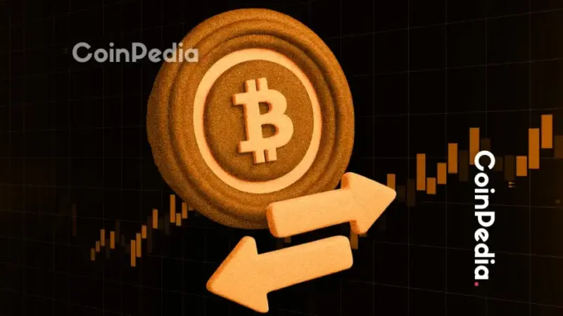 Is the Bitcoin Bull Run Over or Just Getting Started?