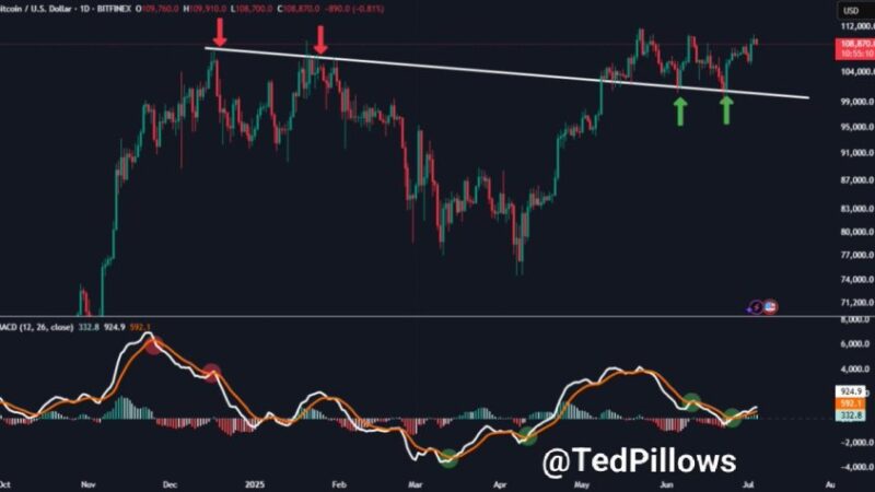 No Room For Bears: Bitcoin Bullish MACD, Monthly Close Fuel Bullish Outlook