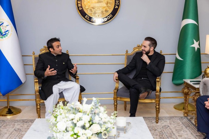 Pakistan and El Salvador Team Up on Crypto — What It Means for the Best Presales Right Now