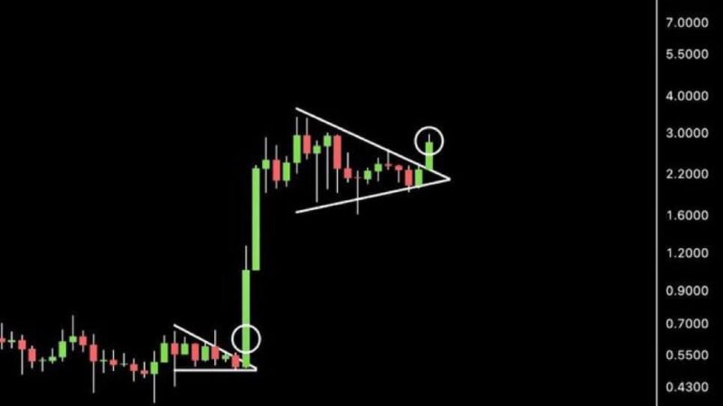Proponent Suggests the XRP Price Can 6x From Here, But is it Realistic?
