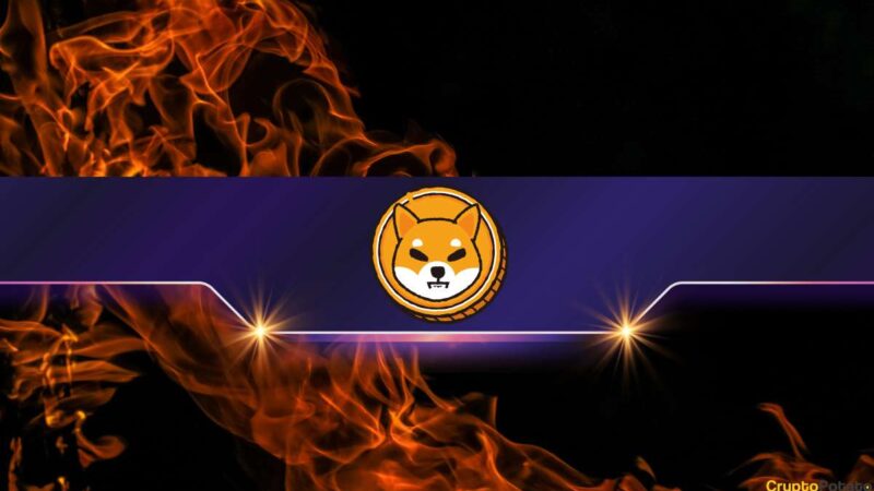 Shiba Inu Burn Rate Skyrockets by Almost 17,000%, Will SHIB’s Price React?