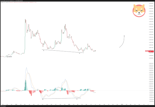 Shiba Inu Price Could See 180% Explosion As This Indicator Flashes Bullish Divergence