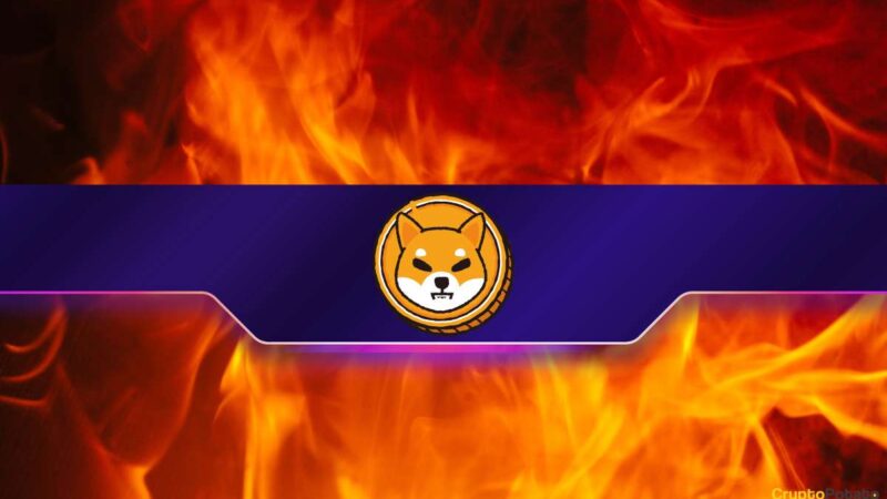Shiba Inu (SHIB) Burn Rate Explodes by 2,000% Weekly: Further Price Rally Incoming?