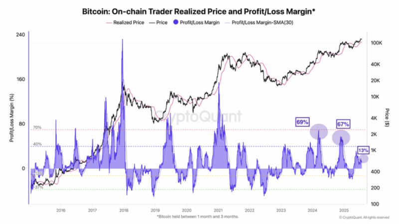 Short-Term Bitcoin Holders Only 13% in Profit—A Calm Before the Storm?