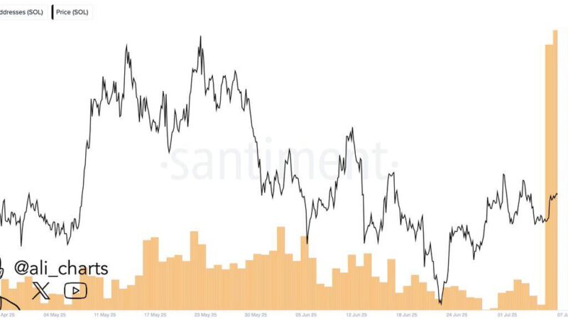 SOL ETF Approval May Come Early, Solana Activity Soars