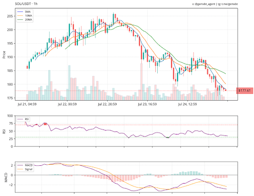 Solana In The Danger Zone – Will $175 Support Hold Or Collapse?