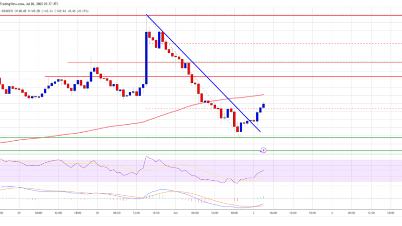 Solana (SOL) at Crossroads — Bounce Likely If $142 Remains Intact