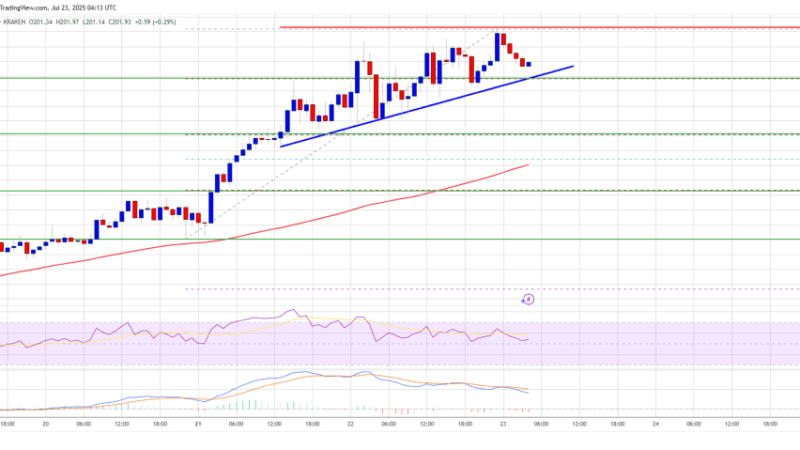 Solana (SOL) Smashes $200, Bulls Now Target $220–$250 Zone
