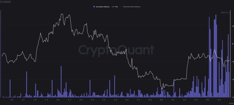 Strong Ethereum Accumulation Detected: LTH Buying Heavy During June Consolidation