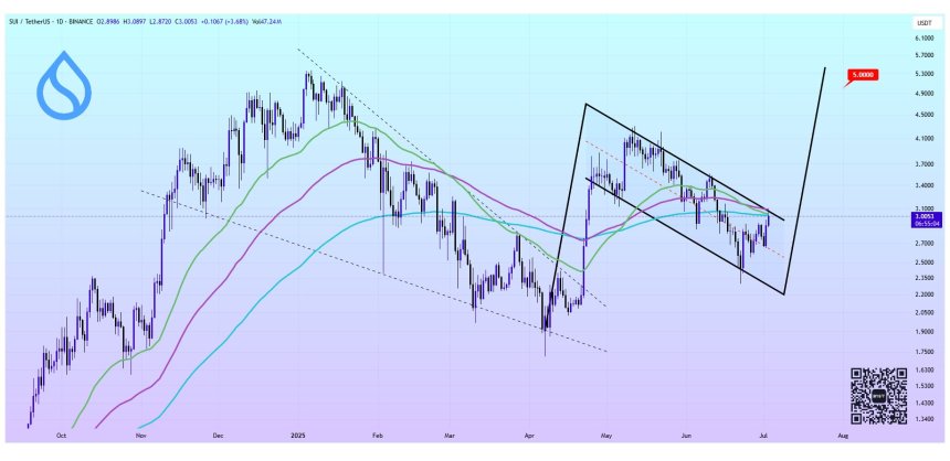 SUI Prepares For Bullish Flag Breakout Amid $3 Reclaim – Analyst Doubles The Target