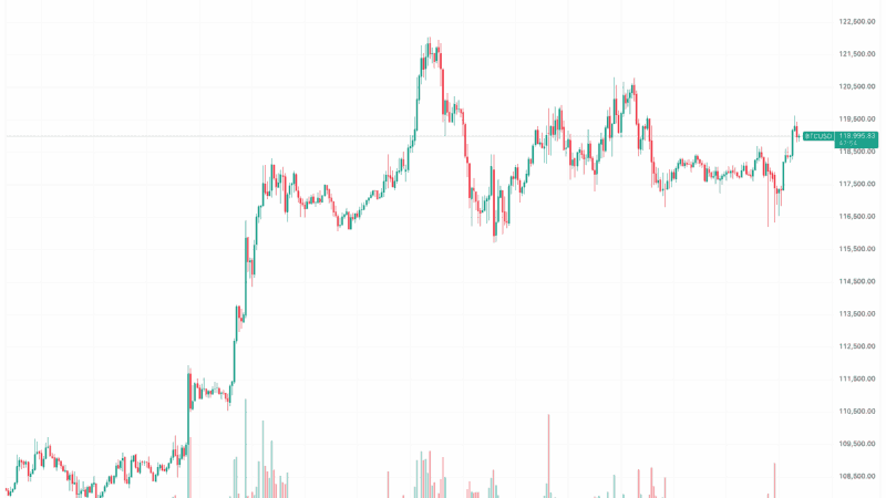 These Meme Coins Explode as Bitcoin Price Eyes $120K Again: Market Watch
