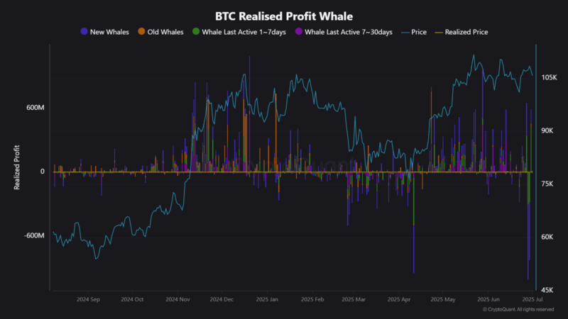 Whales Are Quietly Repositioning, Here’s What Bitcoin’s $107K Price Isn’t Telling You