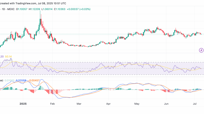 Why is the FARTCOIN Price Down Today and is There More Pain Ahead?
