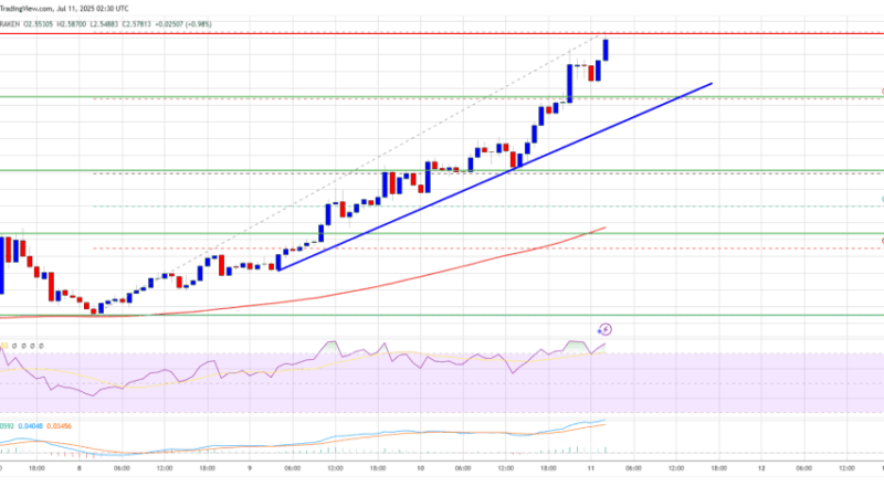 XRP Price Builds Momentum — $2.50 Break Sparks Fresh Bullish Wave