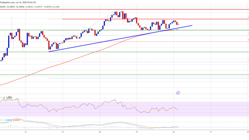 XRP Price Eyes Fresh Gains: Traders Bullish After Momentum Spike
