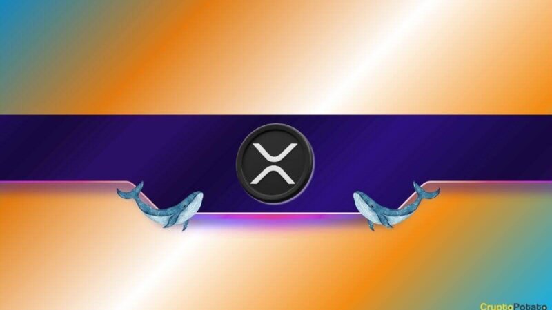 XRP Price Jumps 26% Weekly as Whale Moves in: $3 Breakout Ahead?