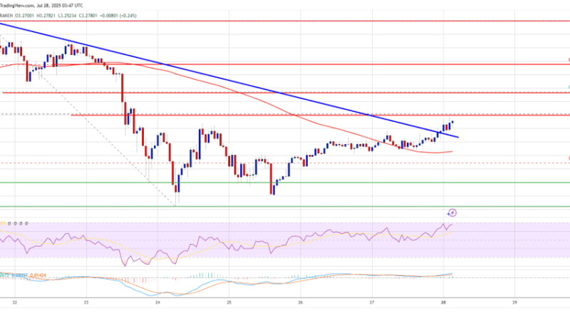 XRP Price Poised for Fresh Upward Move Amid Renewed Bullish Pressure