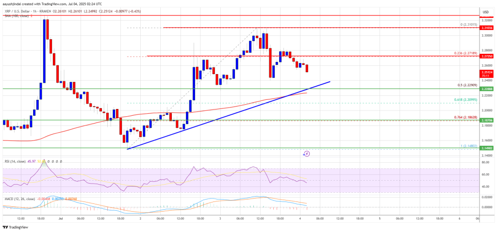 XRP Price Prepares for Possible Bounce — Support Levels In Focus