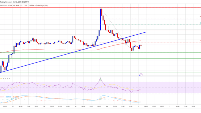 XRP Price Retreats From Highs — Is The Rally In Jeopardy?