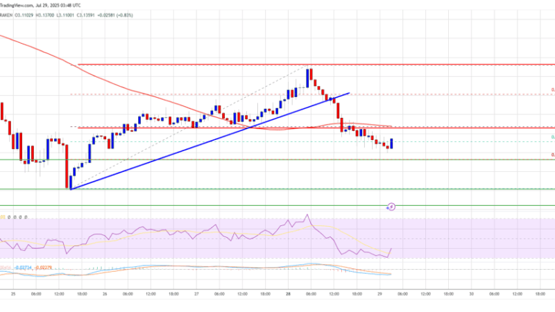 XRP Price Shows Some Weakness – Is a Deeper Pullback on the Cards?