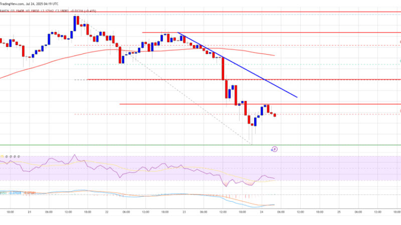 XRP Price Trims Gains After Rally – Is This Just a Healthy Correction?