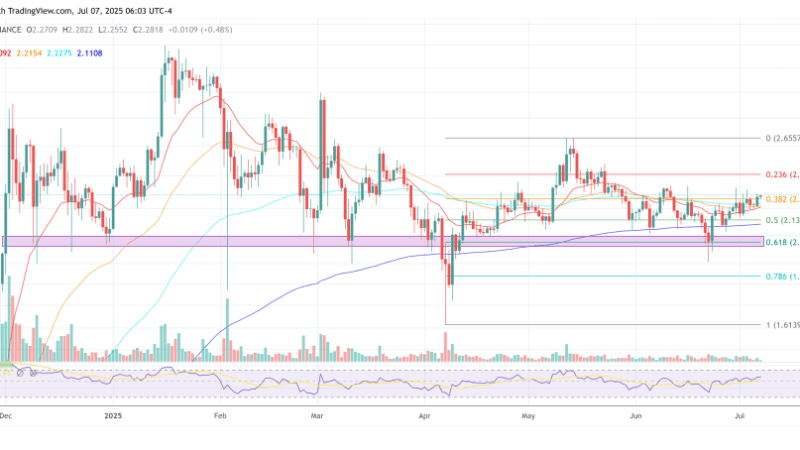 XRP Set To Shock The Crypto Market With 30% Share, Analyst Predicts